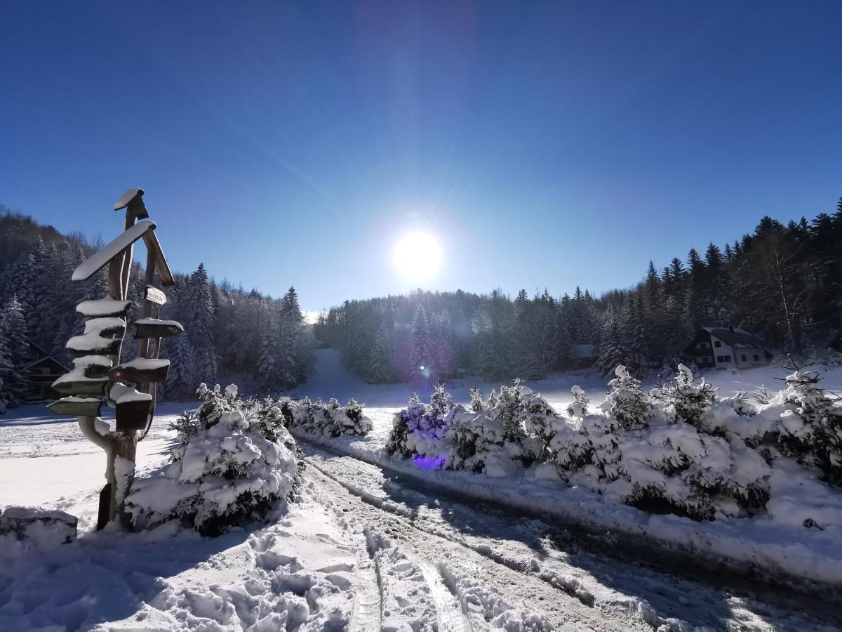 Koca Kresnica Villa Ilirska Bistrica Luaran gambar