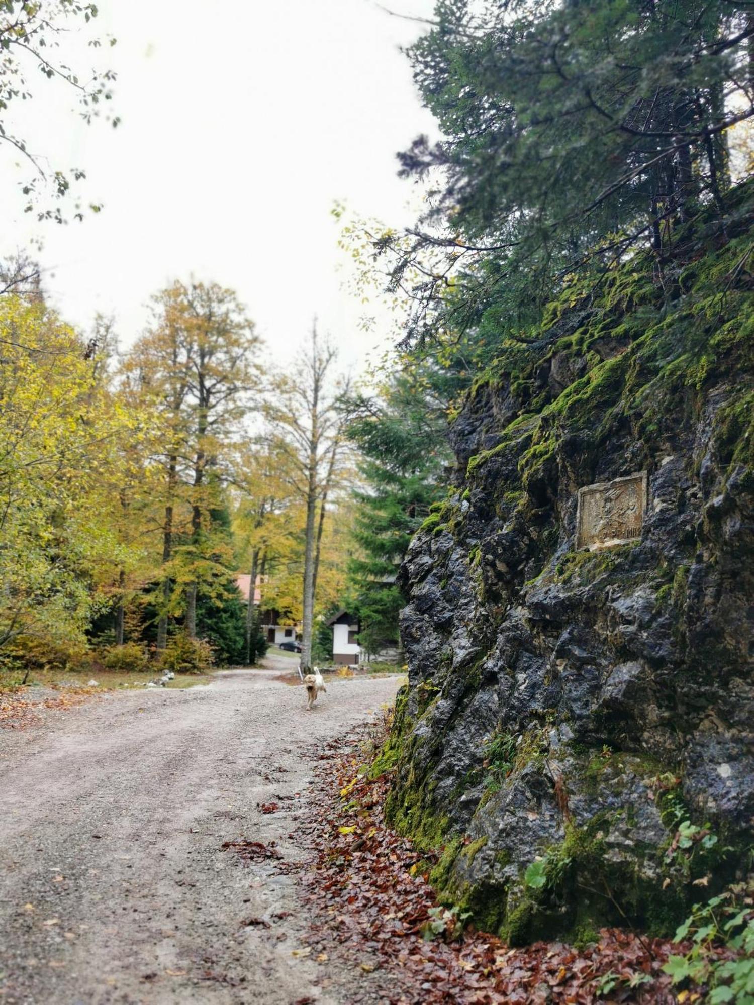 Koca Kresnica Villa Ilirska Bistrica Luaran gambar
