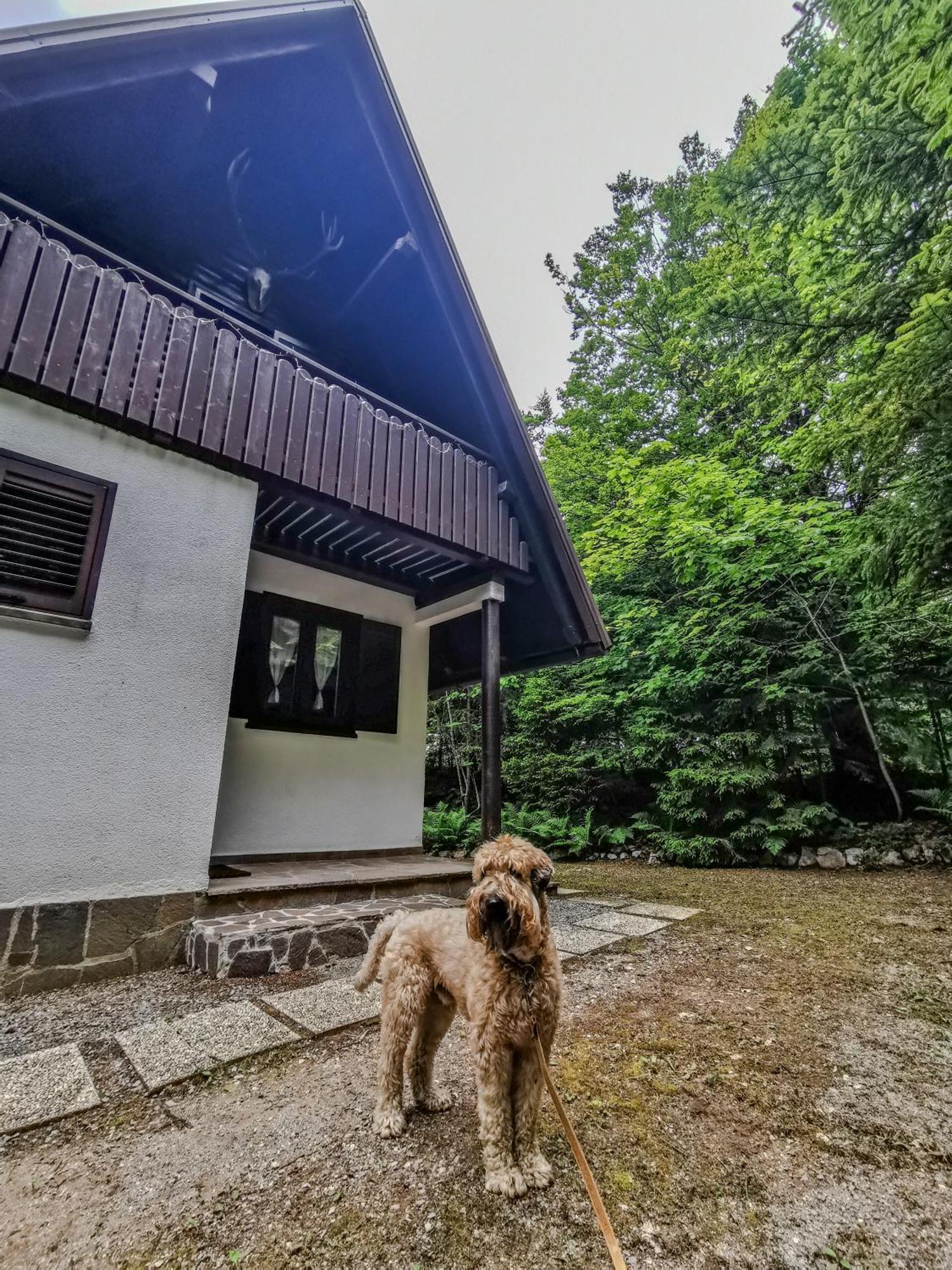 Koca Kresnica Villa Ilirska Bistrica Luaran gambar